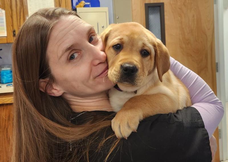 Carousel Slide 3: Discover more about puppy & kitten care