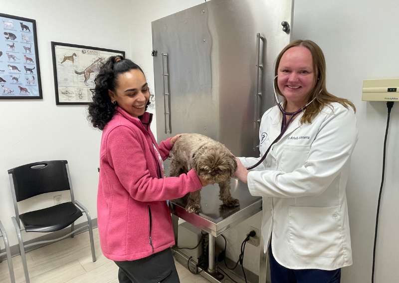 Carousel Slide 4: Learn more about senior pet care