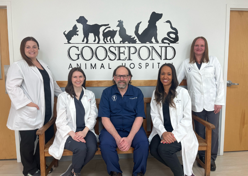 Carousel Slide 1: Learn more about our Veterinary Team