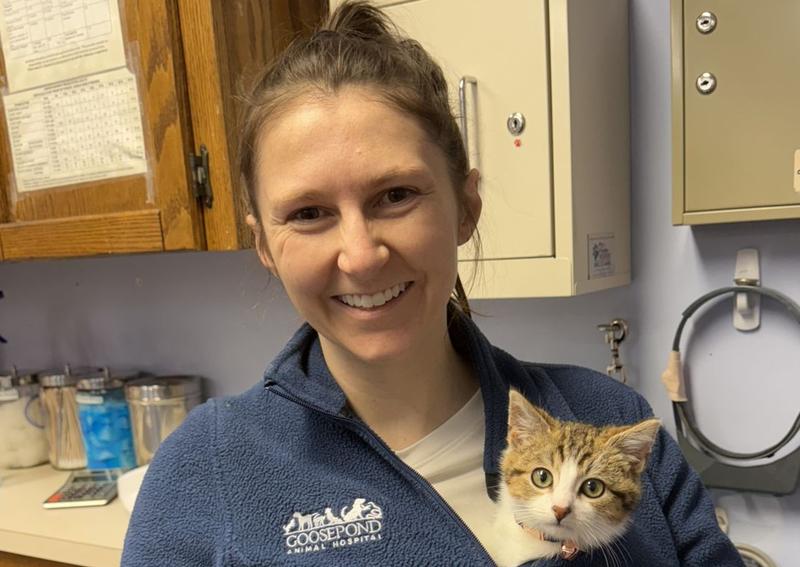 Carousel Slide 5: Discover our cat care services