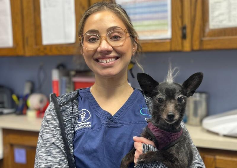 Carousel Slide 8: Learn more about preventive care for dogs