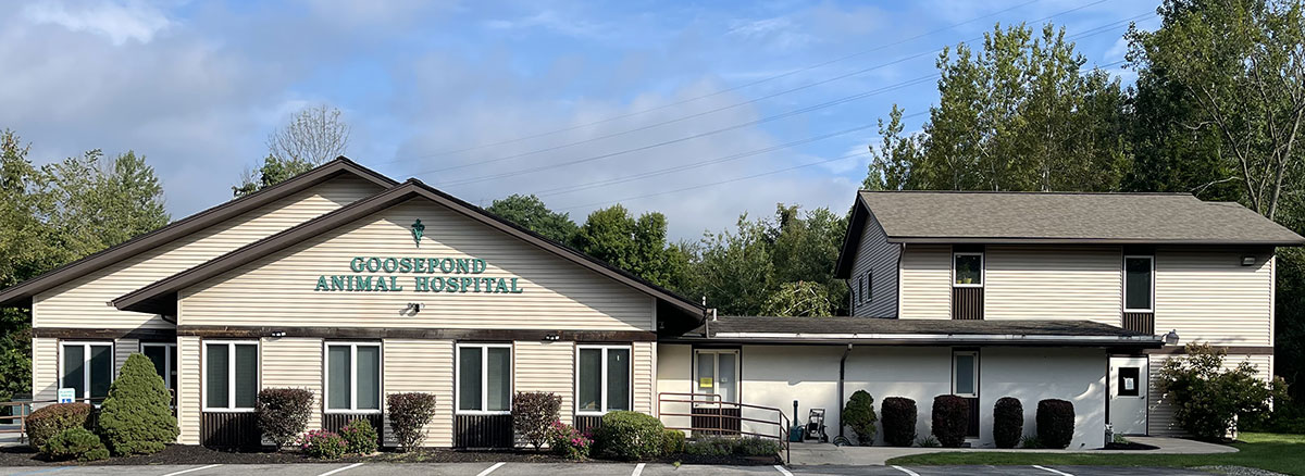 veterinary hospital in Monroe